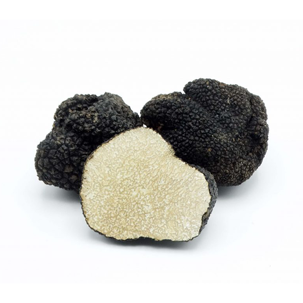 Black summer truffles / Tuber aestivum vitt.