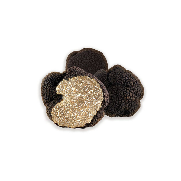 Black autumn truffles (tuber uncinatum chatin)